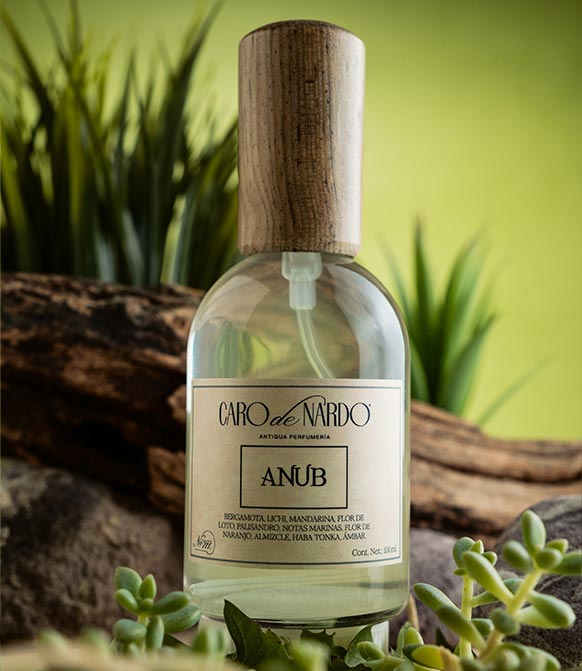 Caro de Nardo