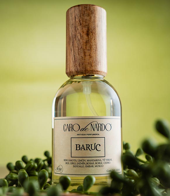Caro de Nardo
