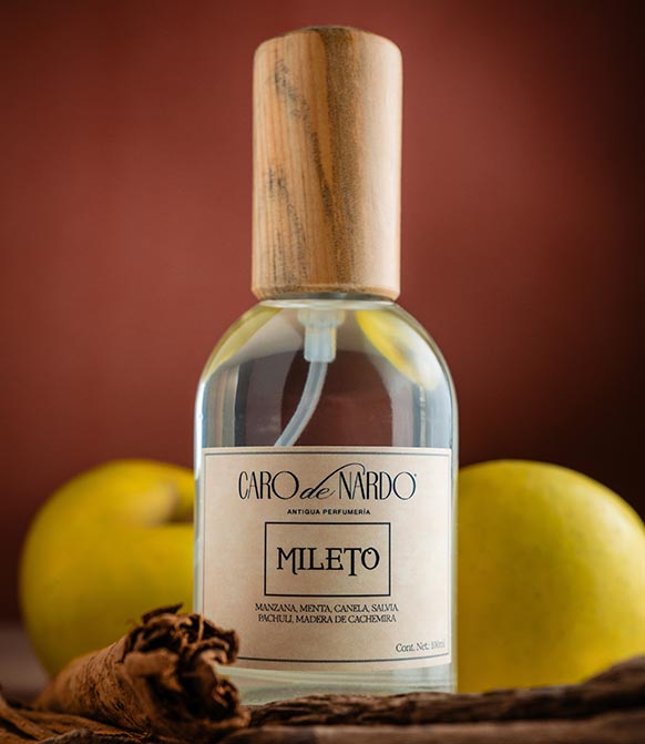 Caro de Nardo