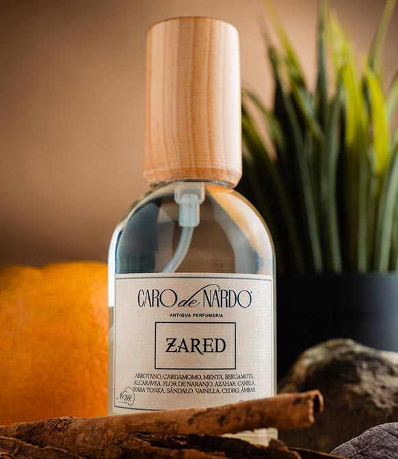 Caro de Nardo